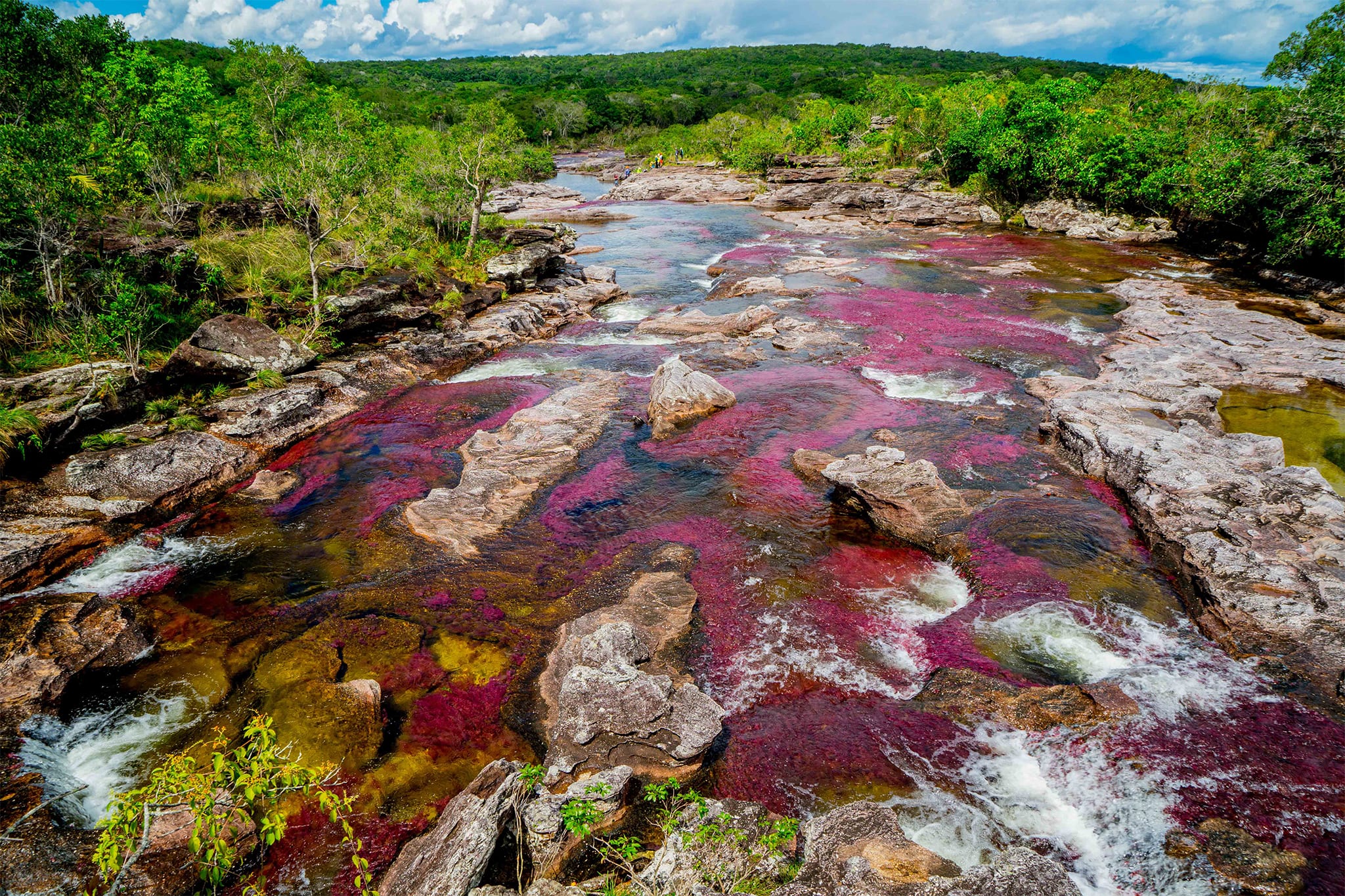 【美品】Hisenior Cano Cristales 2DD＋8BA Visiting Cano Cristales: A Journey to Colombia's Most Colorful